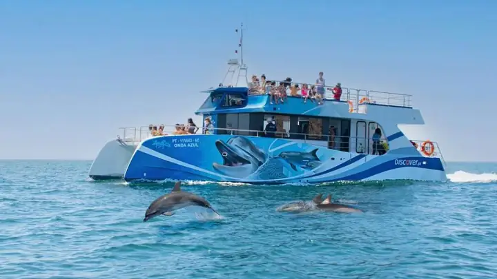 Dolphin watching