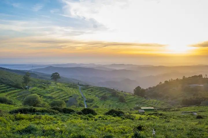 Serra de Monchique & Fóia